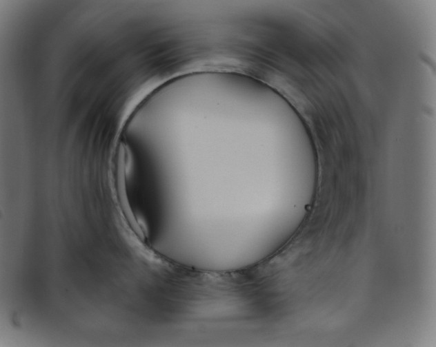 X0000098100960200804251401