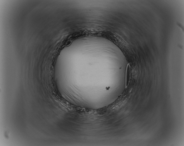 X0000098100961200804251401