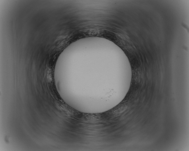 X0000098100962200804251401