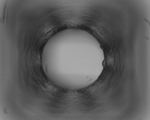 X0000098100964200804251400