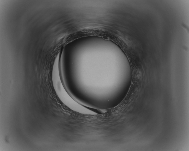 X0000098100965200804251400