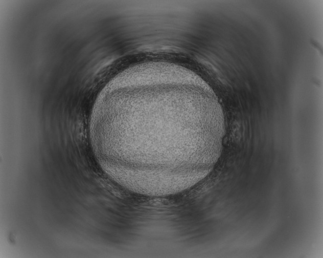 X0000098100966200804251400