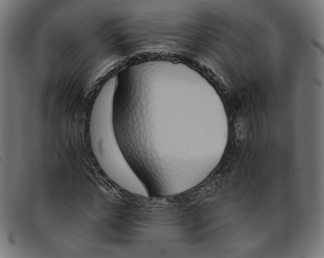 X0000098100968200804251400