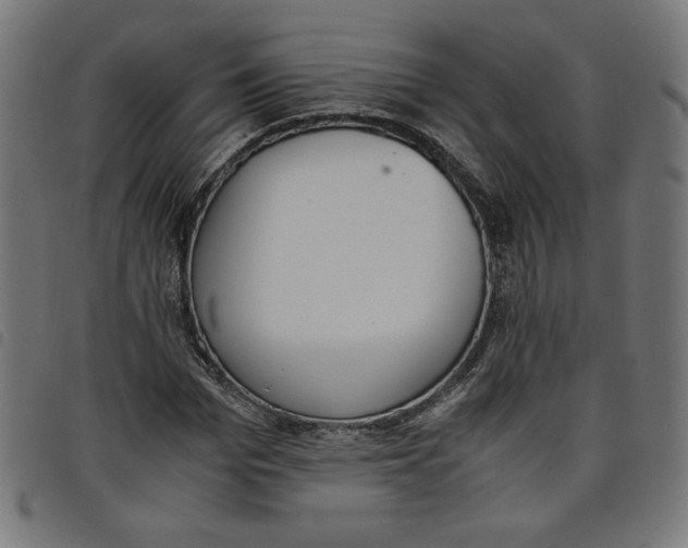 X0000098100969200804251400