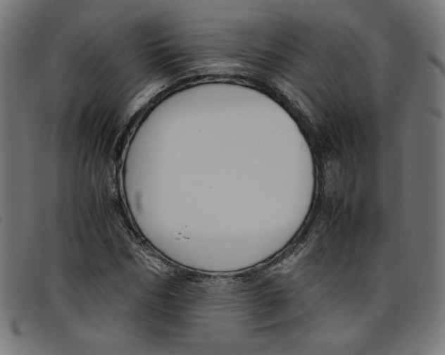 X0000098100970200804251400