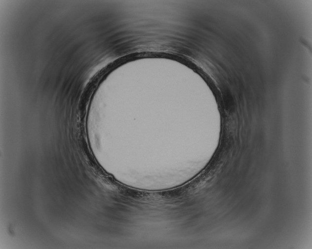 X0000098100971200804251400