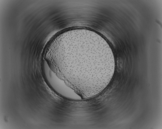 X0000098100972200804251400