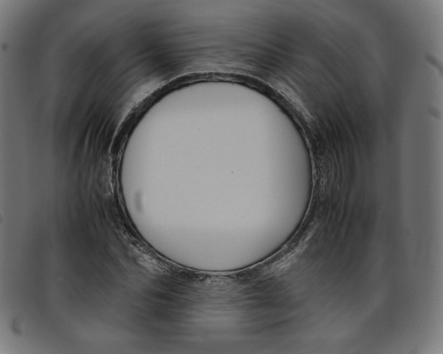 X0000098100974200804251400