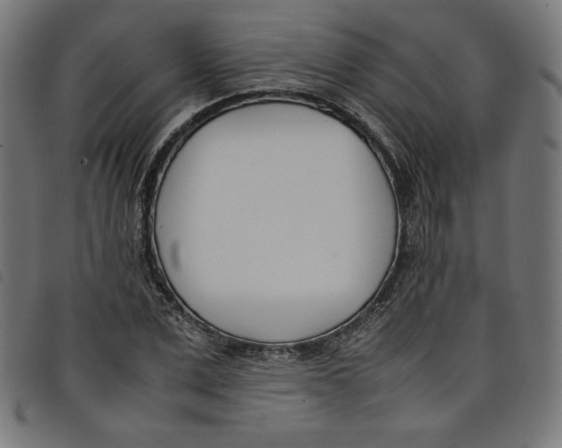 X0000098100975200804251400