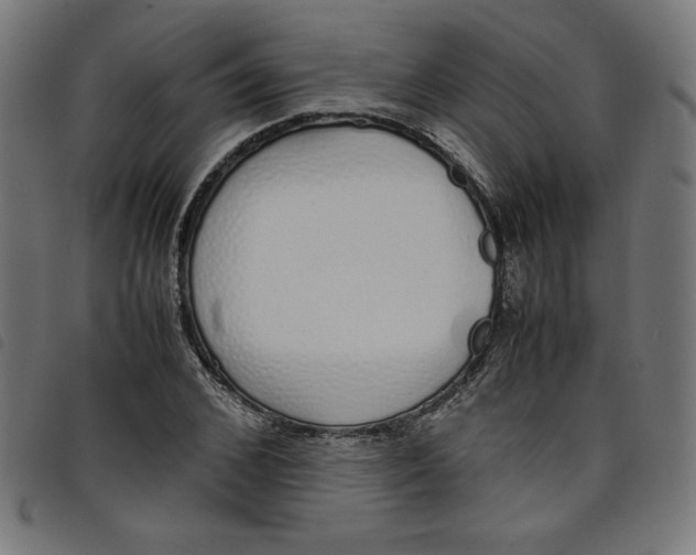 X0000098100976200804251400