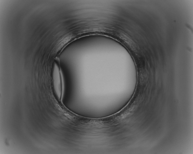 X0000098100977200804251400