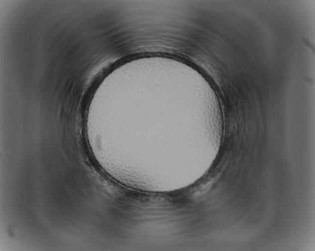 X0000098100979200804251400