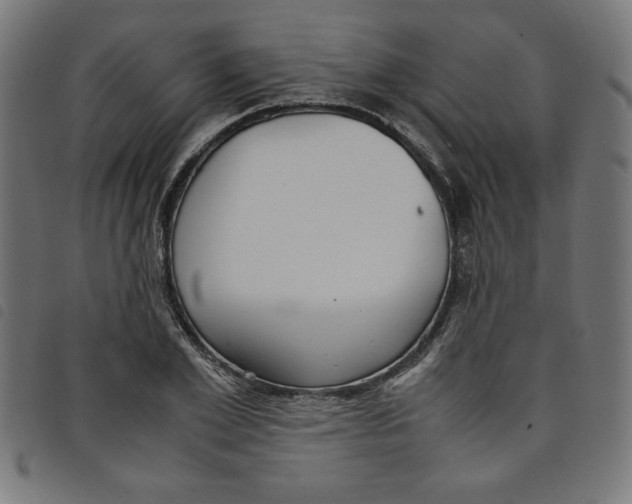 X0000098100981200804251400