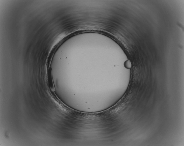X0000098100982200804251400