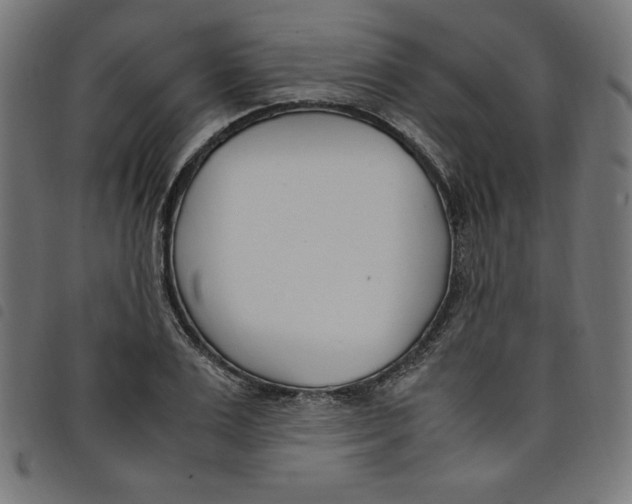 X0000098100983200804251400