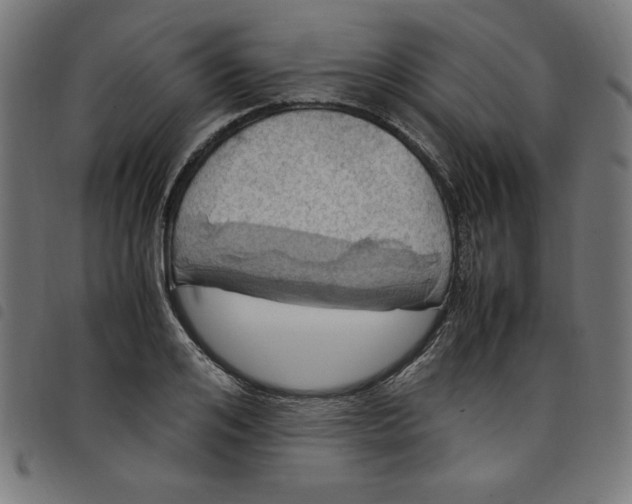 X0000098100984200804251400