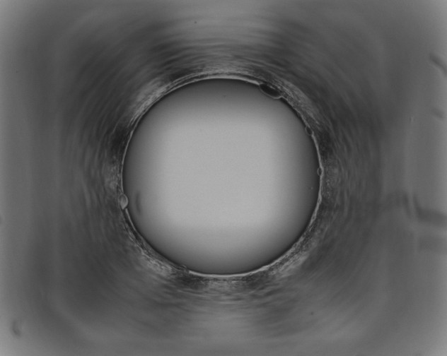 X0000098100985200804251400