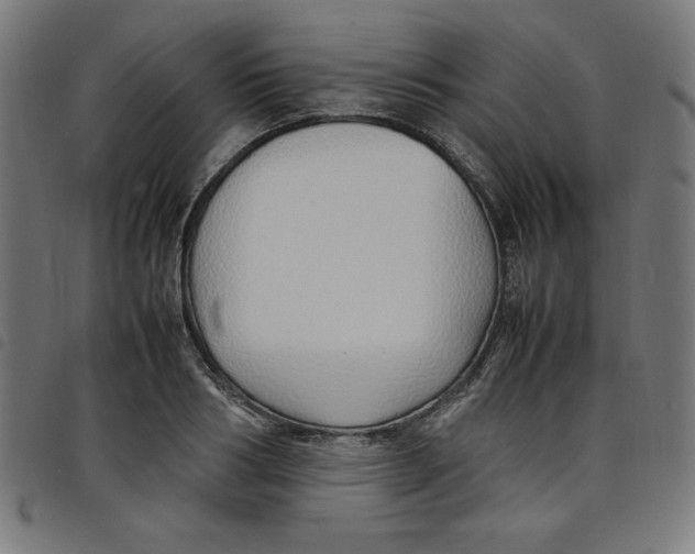 X0000098100986200804251400
