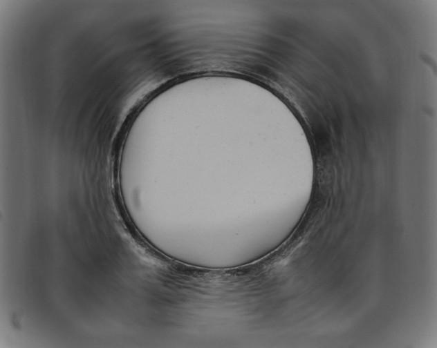 X0000098100987200804251400