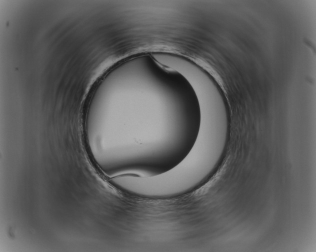 X0000098100989200804251400