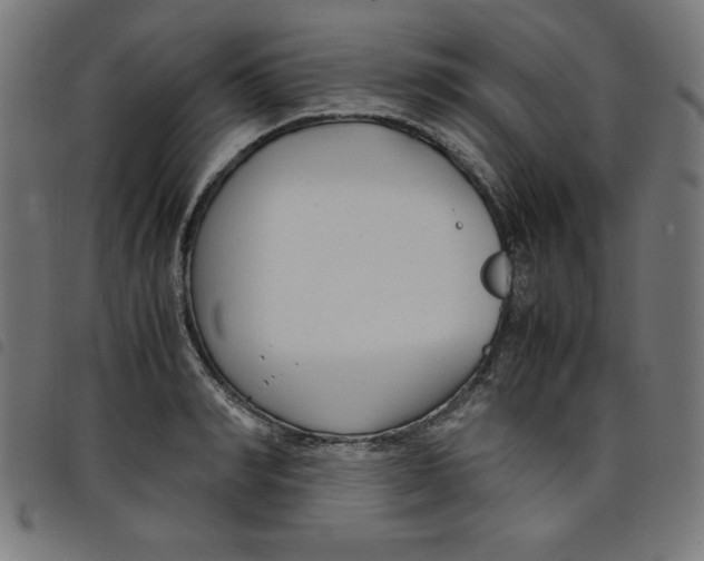 X0000098100990200804251400
