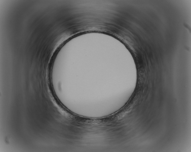 X0000098100991200804251400