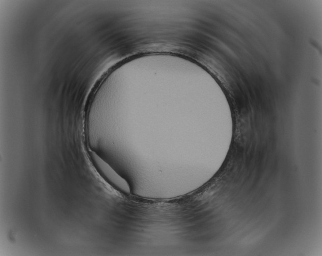 X0000098100992200804251400