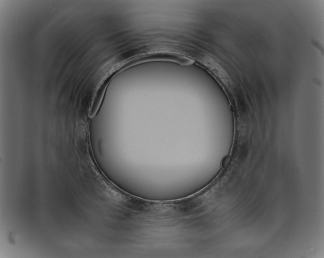 X0000098100993200804251400