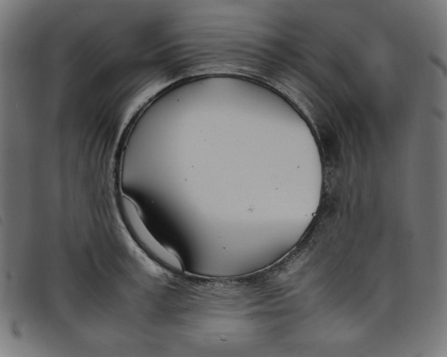 X0000098100995200804251400