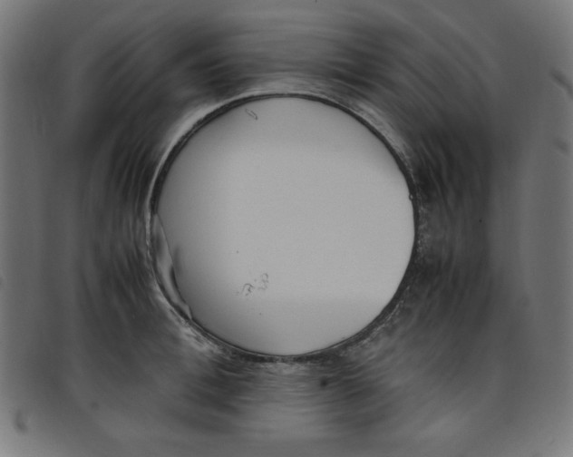 X0000098100996200804251400