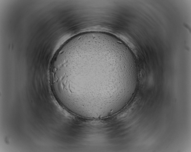 X0000098100998200804251400
