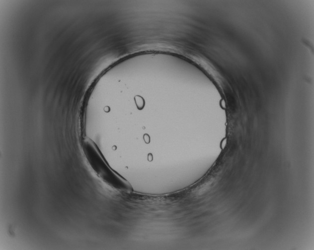 X0000098100999200804251400