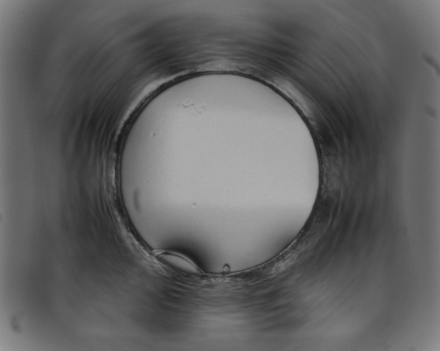 X0000098101000200804251400