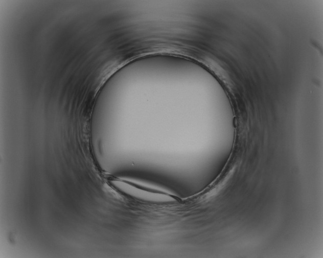 X0000098101001200804251400