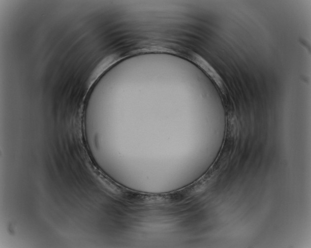 X0000098101002200804251400