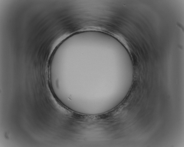 X0000098101003200804251400