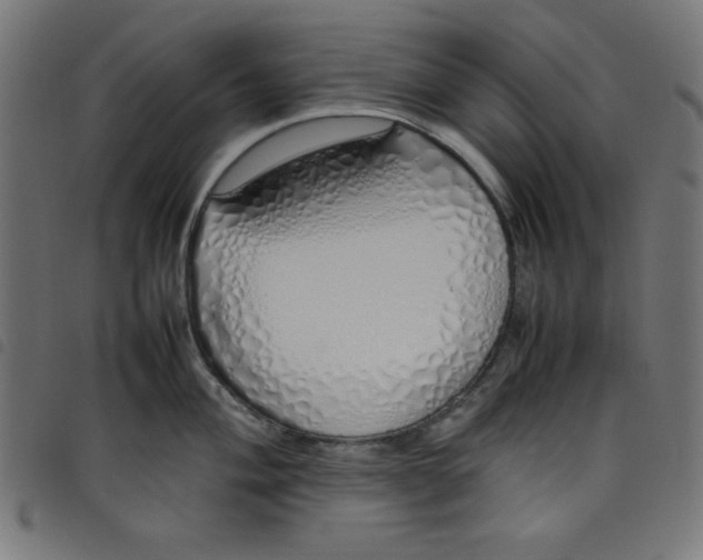 X0000098101004200804251400