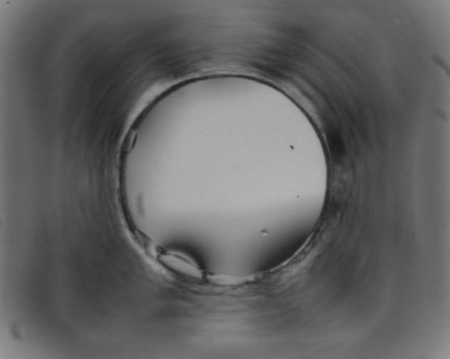 X0000098101005200804251400