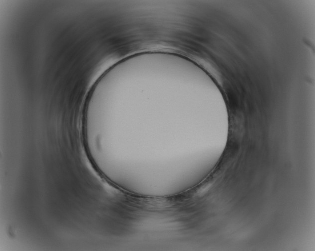 X0000098101007200804251400