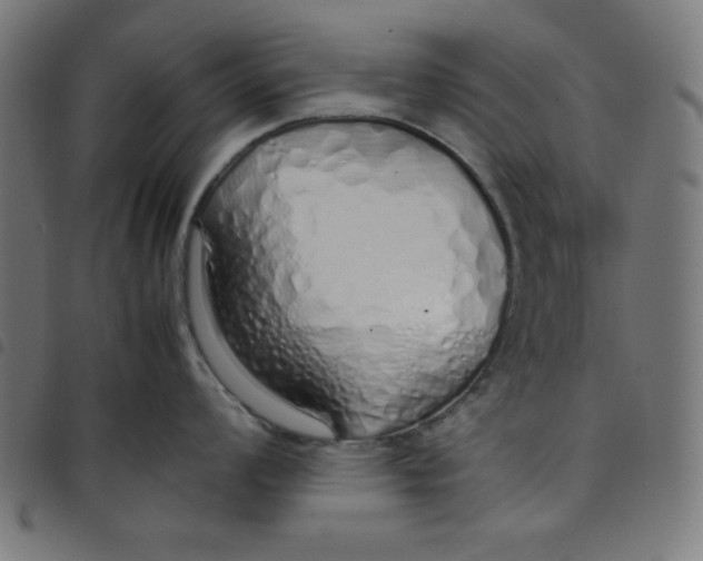 X0000098101008200804251400
