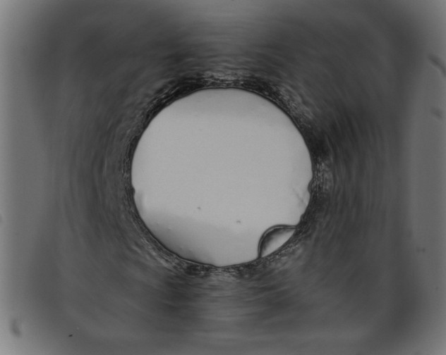 X0000098101009200804251359