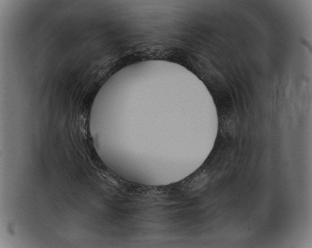 X0000098101010200804251359