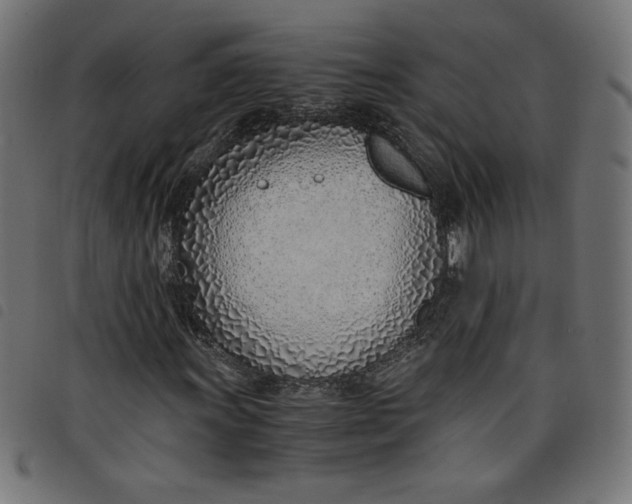 X0000098101011200804251359