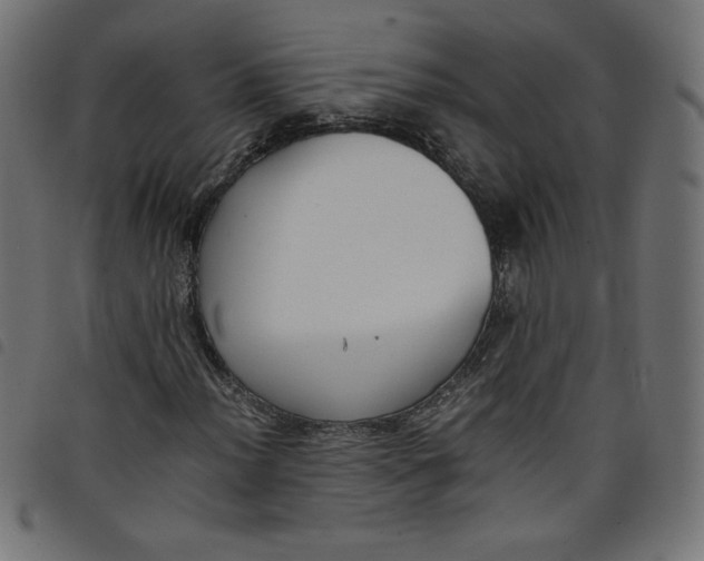 X0000098101012200804251359