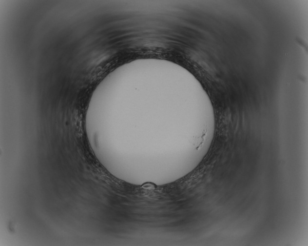 X0000098101013200804251359