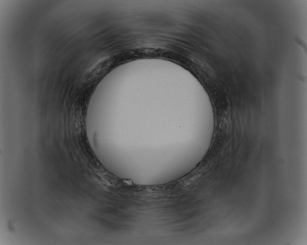 X0000098101014200804251359