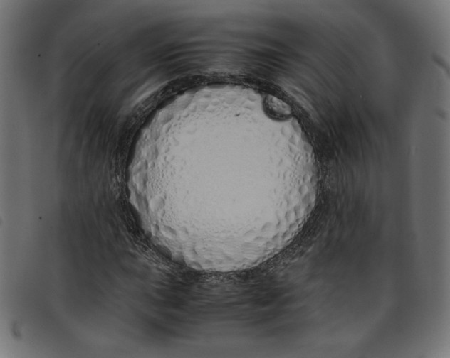 X0000098101015200804251359