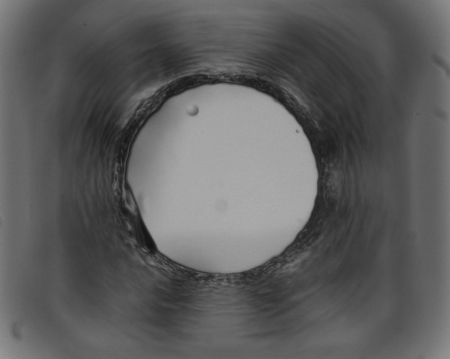 X0000098101016200804251359