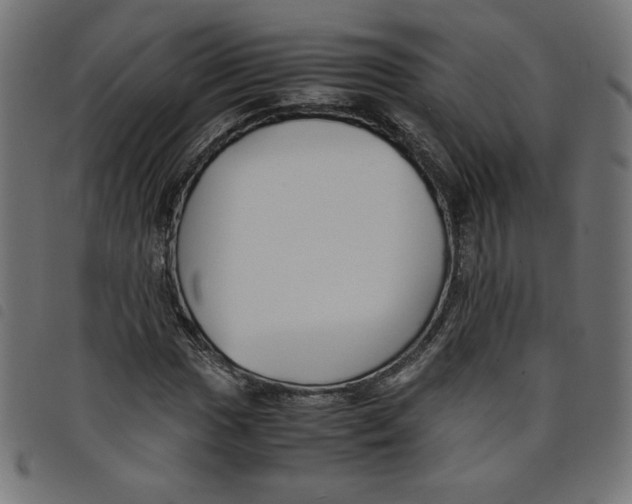 X0000098101017200804251359