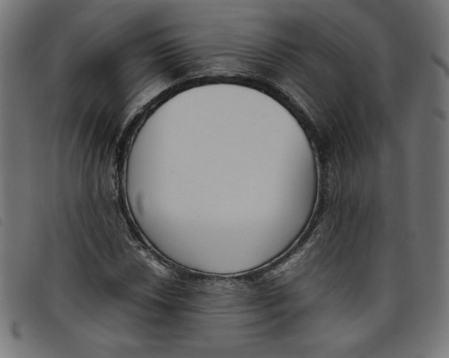 X0000098101018200804251359